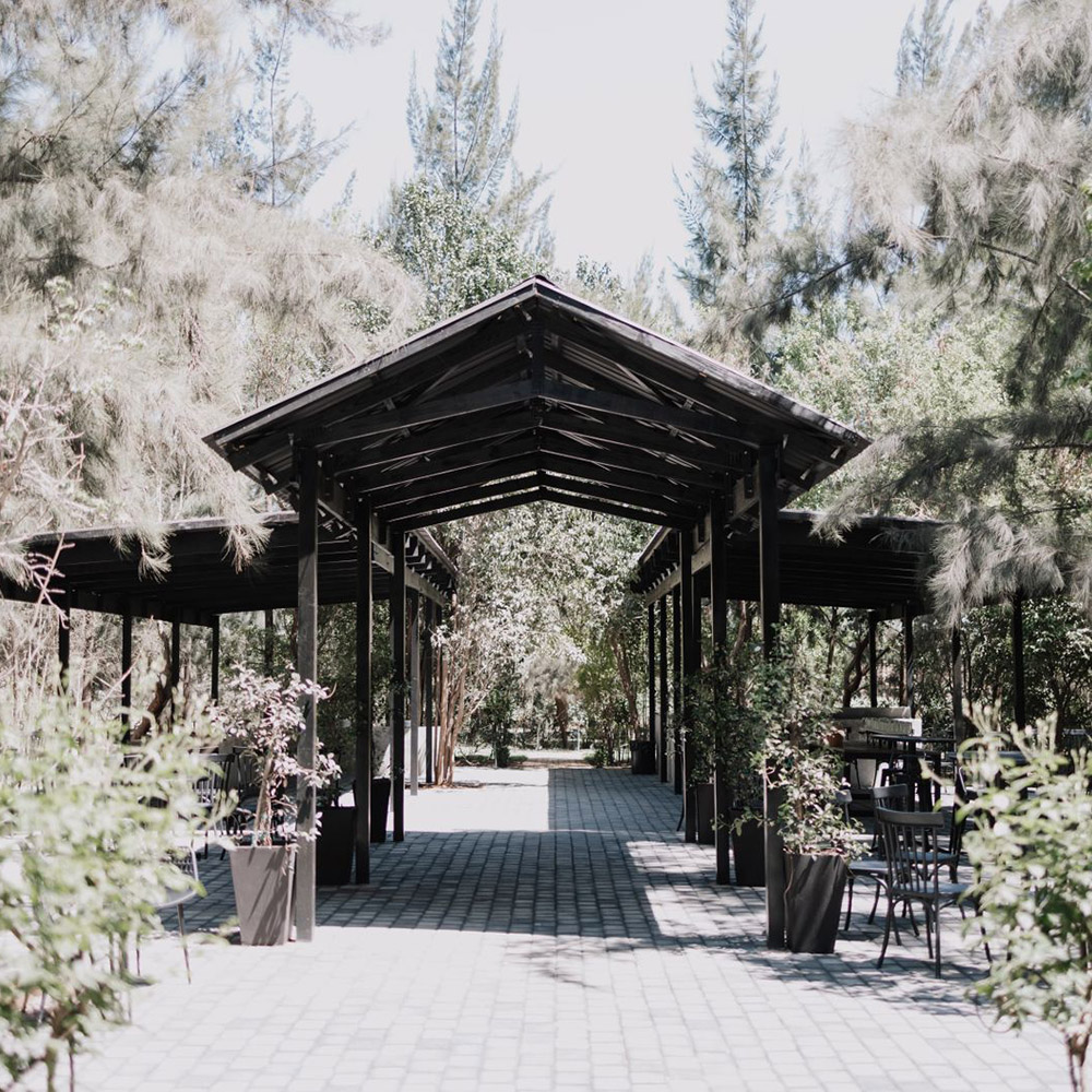 Covered walkway through the pre-reception garden framed by soft foliage